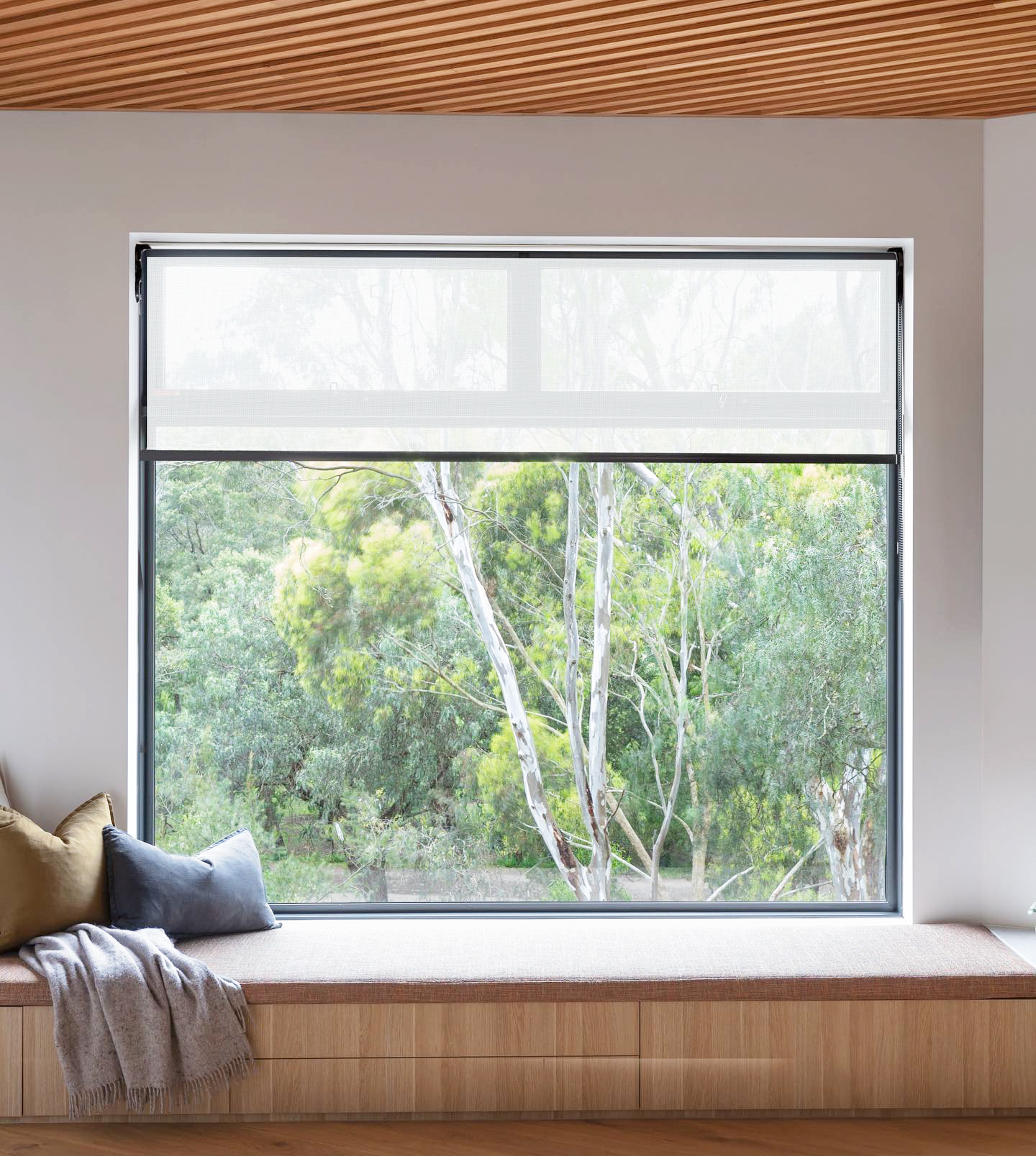 Rollease Acmeda _ Roller Shades (17) (1)