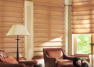 Alustra Vignette | ZBlinds Fresno