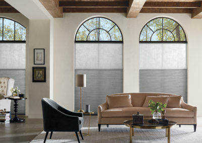 Duette Hunter Douglas | Z Blinds Fresno