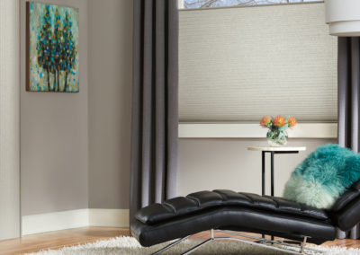 Duette Hunter Douglas | Z Blinds Fresno