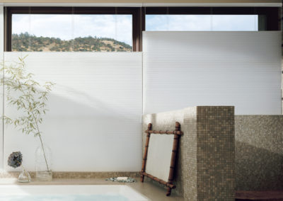 Duette Hunter Douglas | Z Blinds Fresno