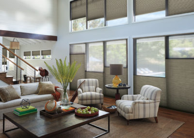 Duette Hunter Douglas | Z Blinds Fresno