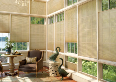 Duette Hunter Douglas | Z Blinds Fresno