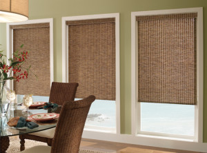 Envision Roller Shades Fresno | ZBlinds Co Fresno