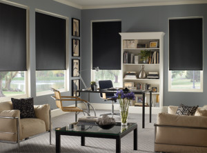 Envision Roller Shades Fresno | ZBlinds Co Fresno