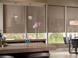 Envision Roller Shades Fresno | ZBlinds Co Fresno