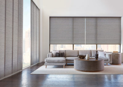 Designer Roller Shade Hunter Douglas | Z Blinds Fresno