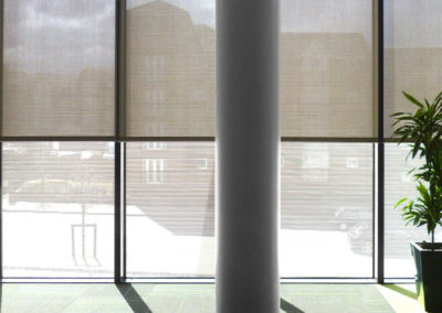 Roller Shades MechoShade | Z Blinds Company