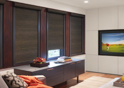 Designer Roller Shades Hunter Douglas | Z Blinds Fresno