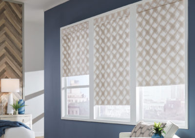 Simplicity Roller Shades Carole Fabrics | Z Blinds Fresno