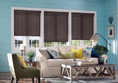 Roller Screen Shades Alta | Z Blinds Fresno