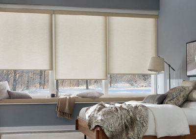 Roller Screen Shades Alta | Z Blinds Fresno