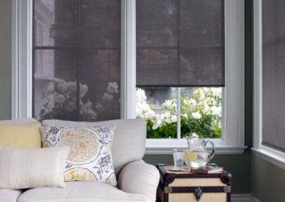 Roller Screen Shades Alta | Z Blinds Fresno