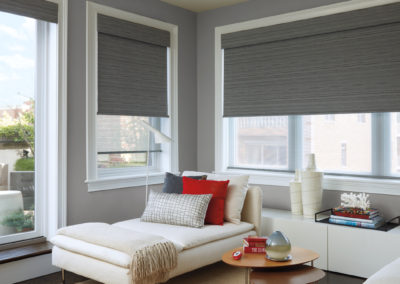 Skyline Roller Shades Hunter Douglas | Z Blinds Fresno
