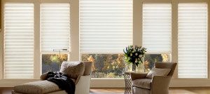 ZBlinds Fresno