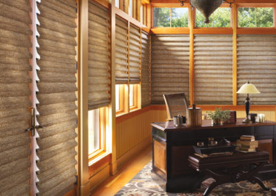 Vignette Hunter Douglas | Z Blinds Fresno