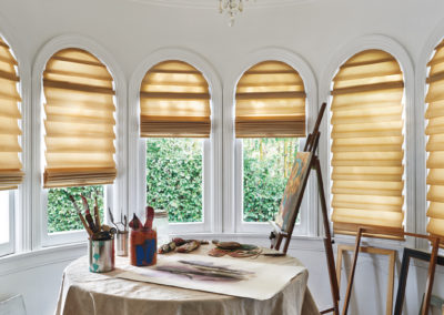 Vignette Hunter Douglas | Z Blinds Fresno