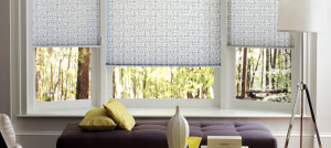 ZBlinds Fresno