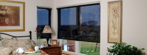 Horizons Mylar Siesta Roller Shades | ZBlinds Fresno