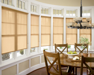 Z Blinds Fresno | Designer Screen Roller Shades